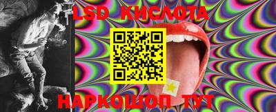 гашик Новодвинск