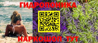 гашик Новодвинск