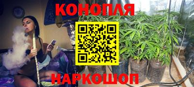гашик Новодвинск
