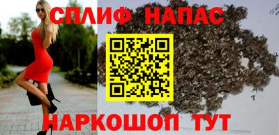 гашик Новозыбков