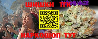 гашик Новодвинск