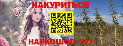 гашик Новозыбков