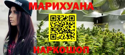 гашик Новодвинск