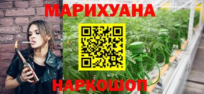 гашик Новозыбков