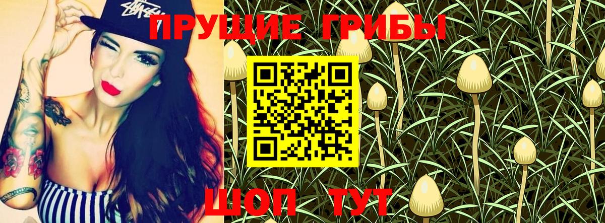 Галлюциногенные грибы Magic Shrooms  Вход с VPN  Галлюциногенные грибы Psilocybine cubensis  Туапсе 